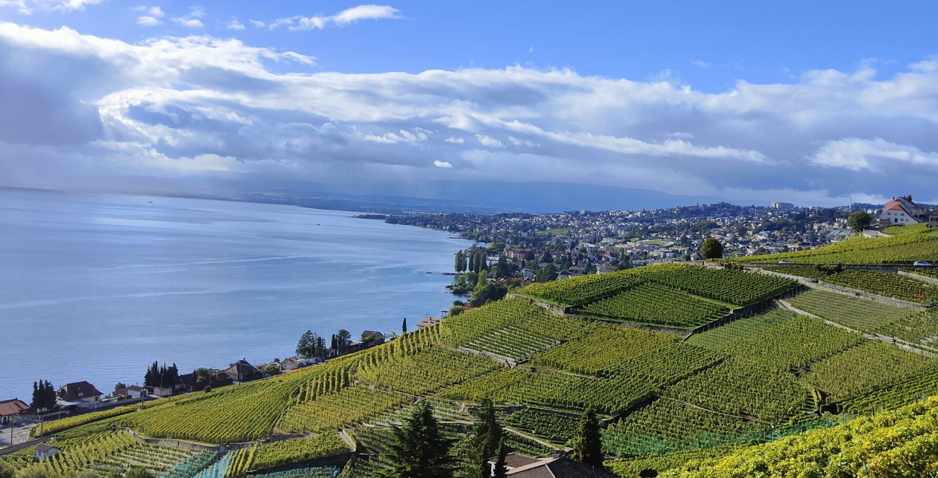 Lavaux - Lac Léman - Suisse